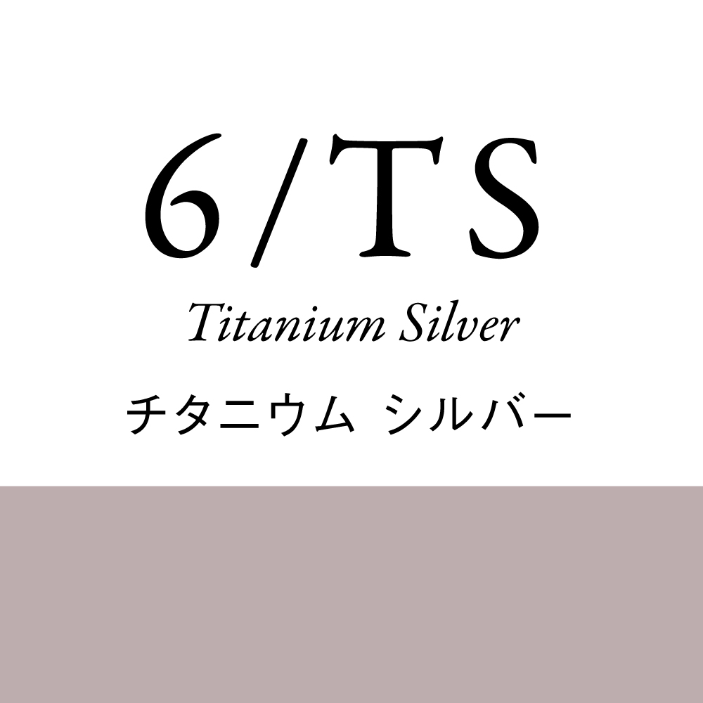シルバー6Lv