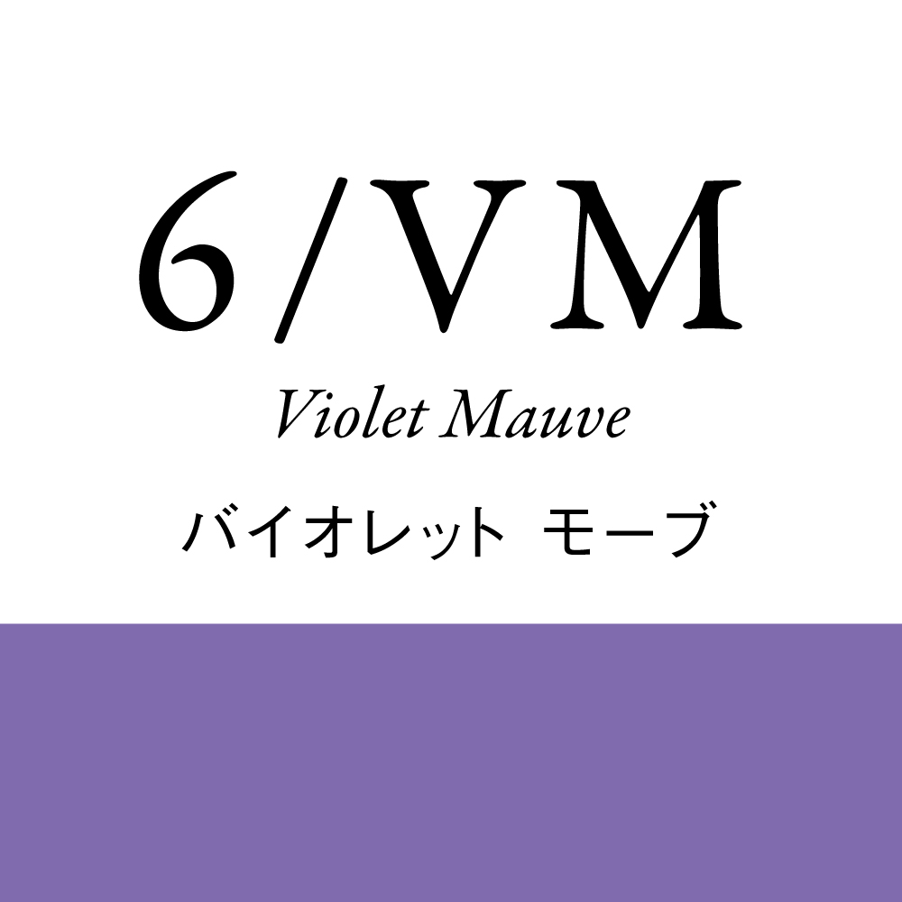 バイオレット6Lv