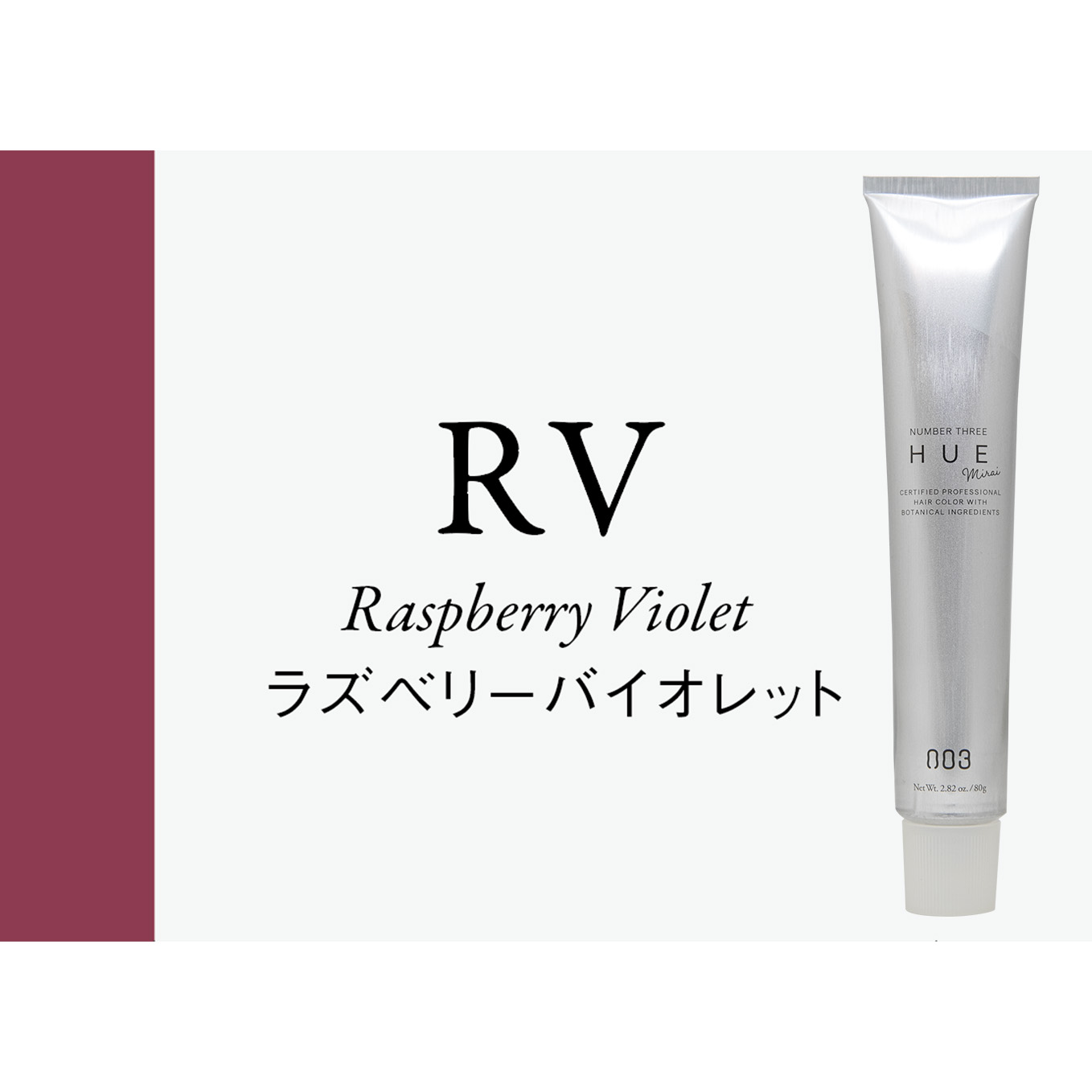 ヒュウ　ミライ　ＲＶ