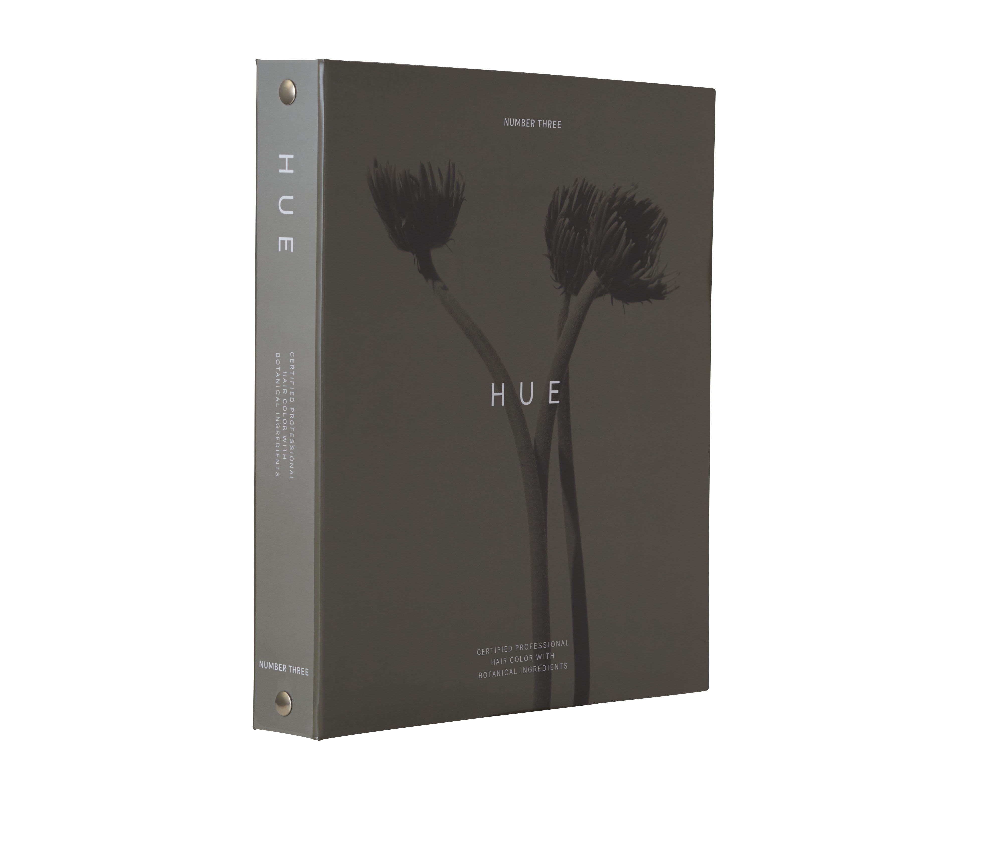 HUE フルチャート